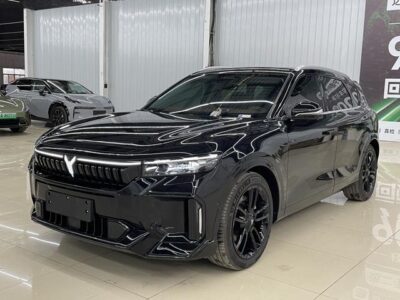 VOYAH FREE 2024 ultra-long battery life smart driving version